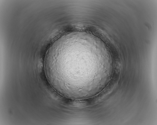 X0000115040707200911091405