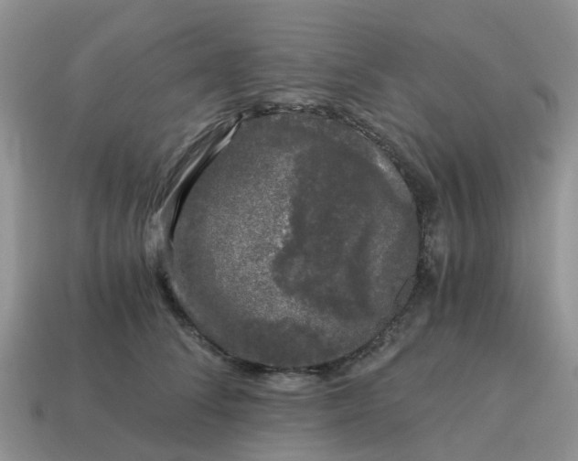 X0000115040708200911091405