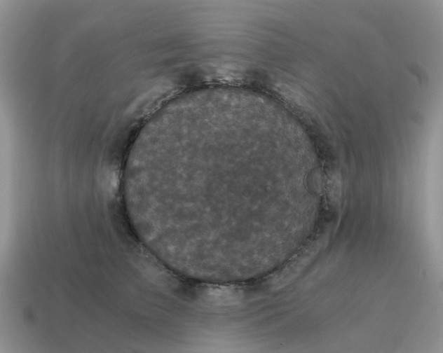 X0000115040709200911091405