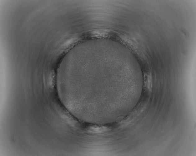 X0000115040712200911091405