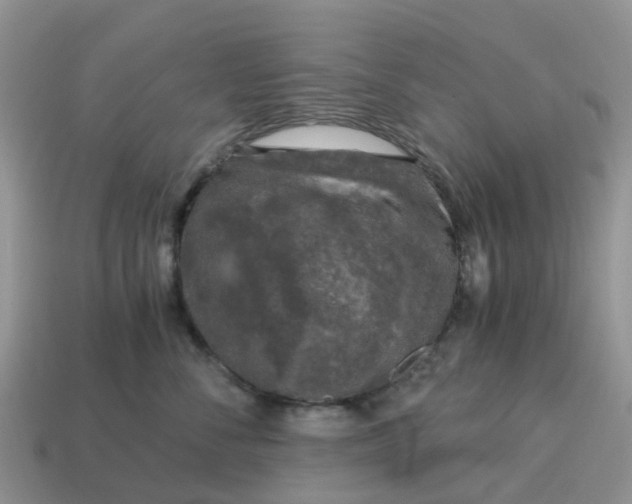 X0000115040716200911091405