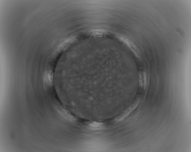 X0000115040718200911091405