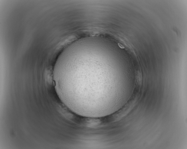 X0000115040719200911091405