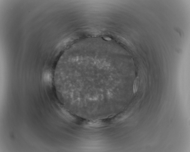 X0000115040720200911091405