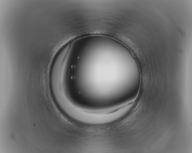 X0000115040721200911091404
