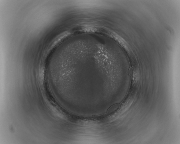 X0000115040722200911091404