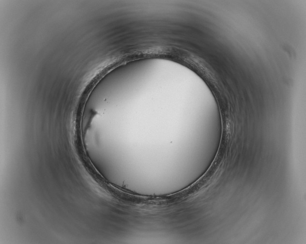 X0000115040725200911091404