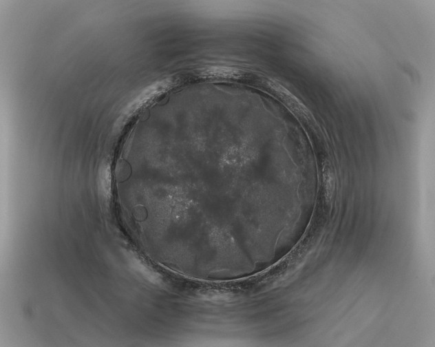 X0000115040729200911091404