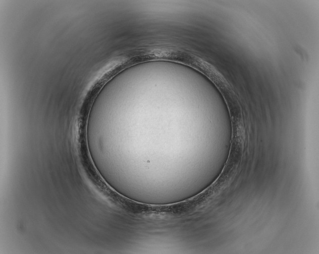 X0000115040730200911091404