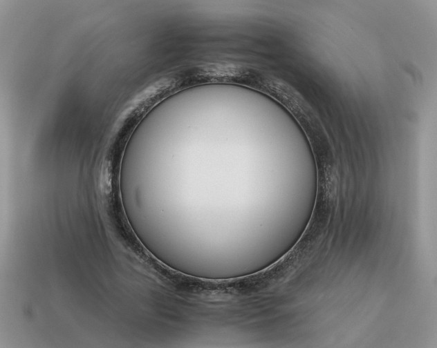 X0000115040731200911091404