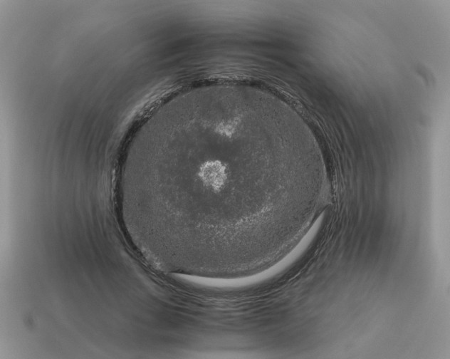 X0000115040735200911091404