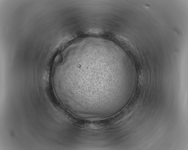 X0000115040739200911091404