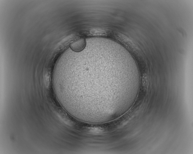X0000115040741200911091404