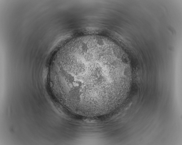 X0000115040742200911091404