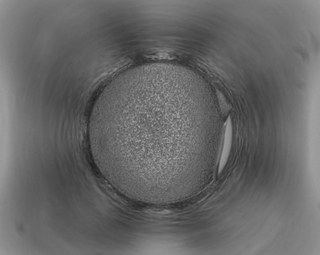 X0000115040747200911091404