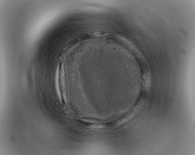 X0000115040762200911091404