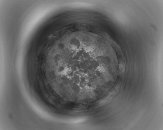 X0000115040765200911091404