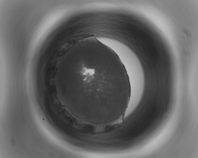 X0000115040766200911091404