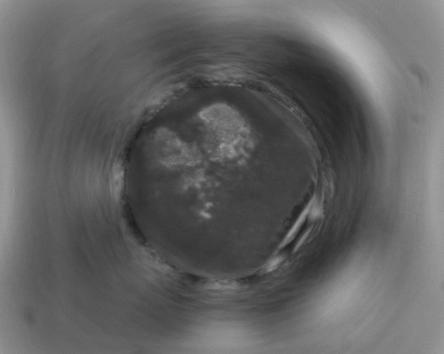 X0000115040767200911091404