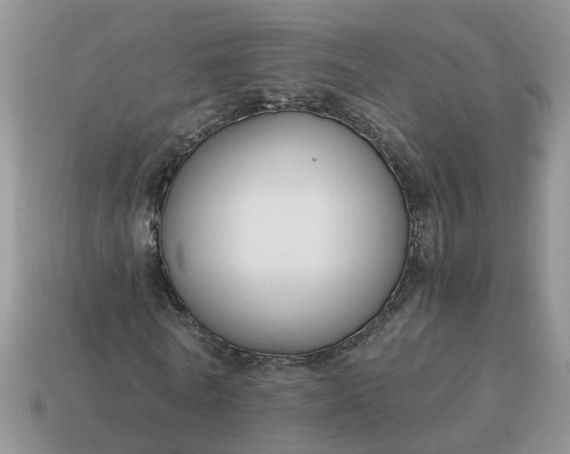 X0000115040770200911091404