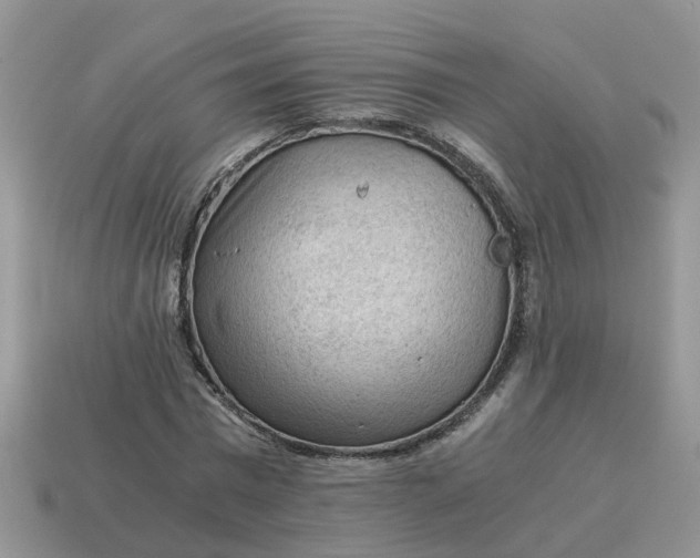 X0000115040777200911091404