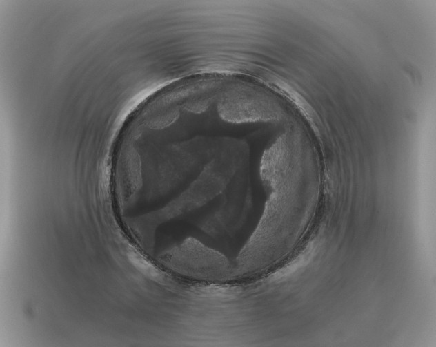 X0000115040779200911091404