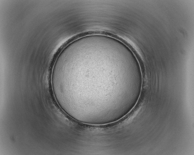 X0000115040783200911091404