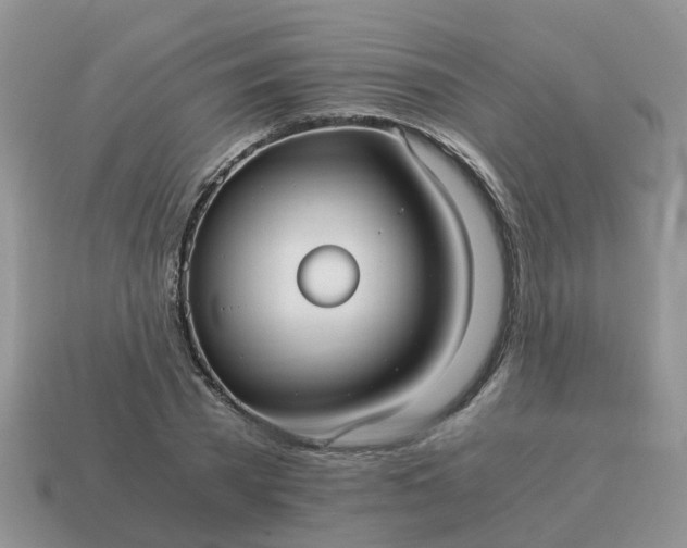 X0000115040785200911091404