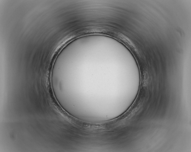 X0000115040786200911091404