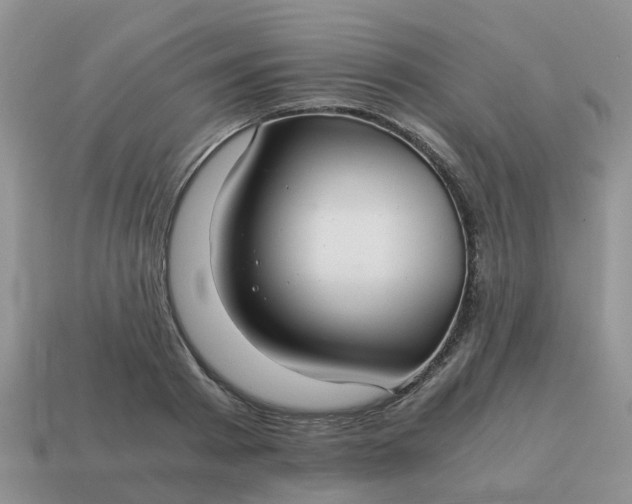 X0000115040793200911091404