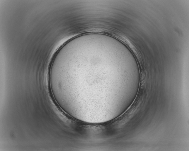X0000115040795200911091404