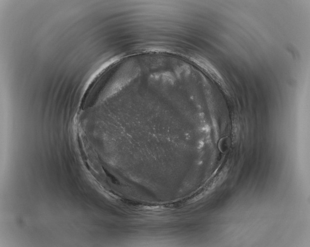 X0000115040798200911091403