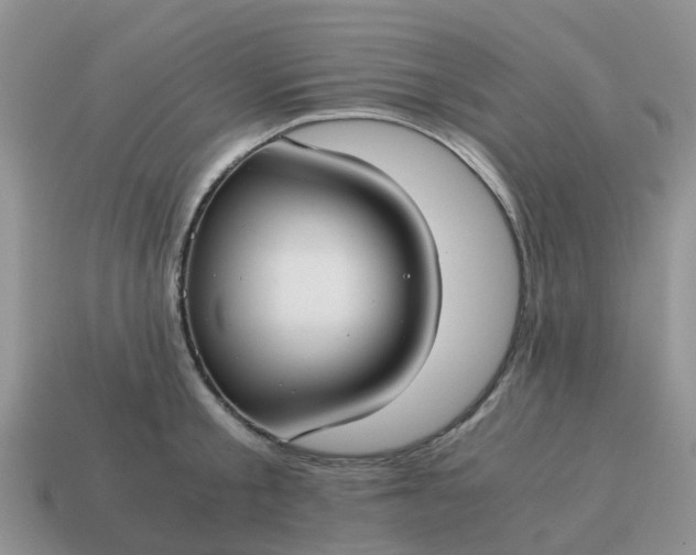 X0000115040805200911091403