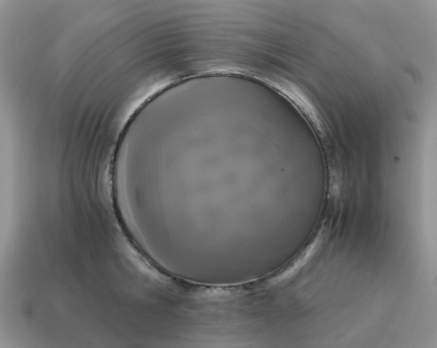 X0000115040806200911091403
