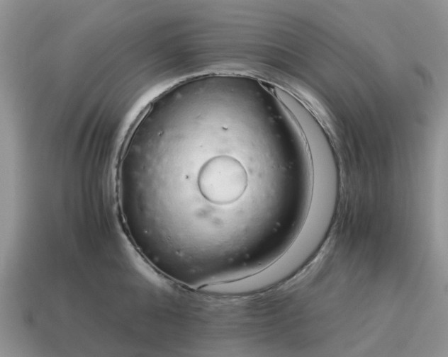 X0000115040808200911091403