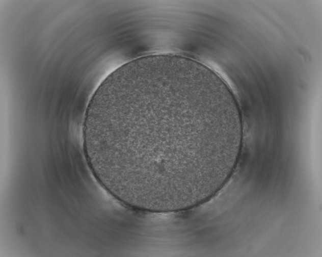 X0000115040810200911091403