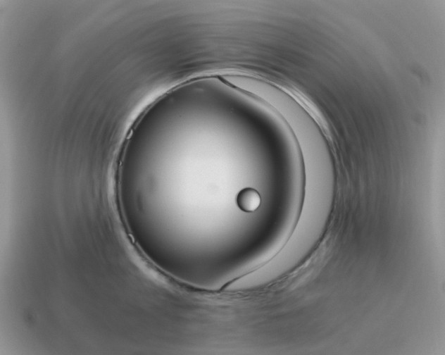 X0000115040813200911091403