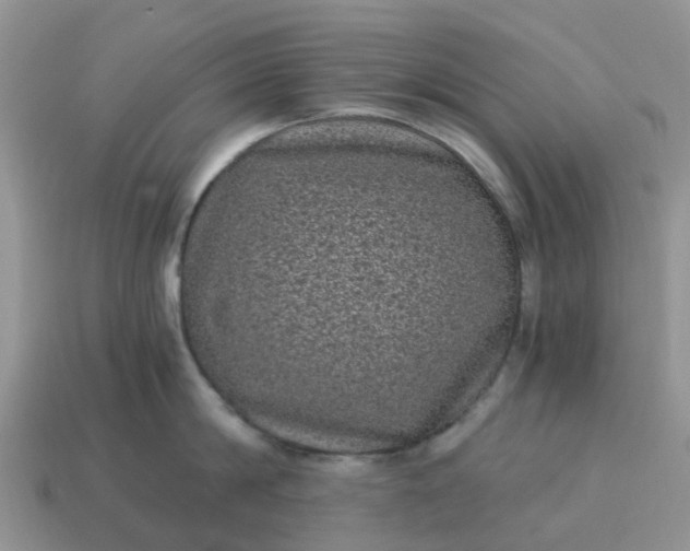 X0000115040814200911091403