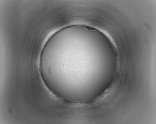 X0000115040815200911091403