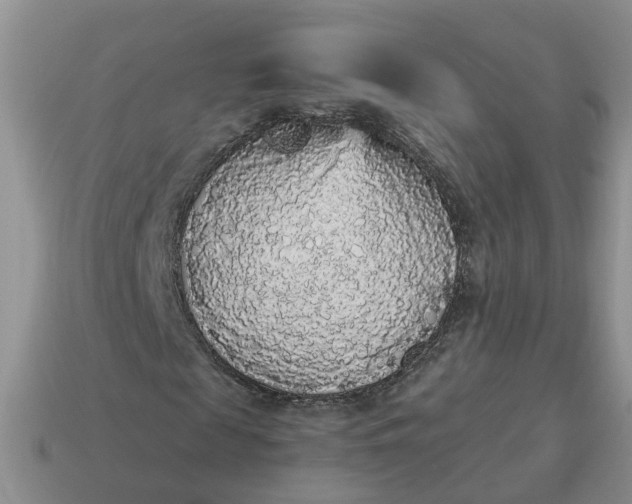 X0000115040817200911091402