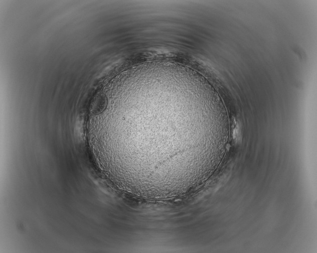 X0000115040819200911091402