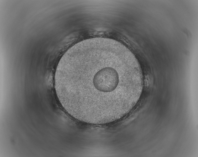 X0000115040820200911091402