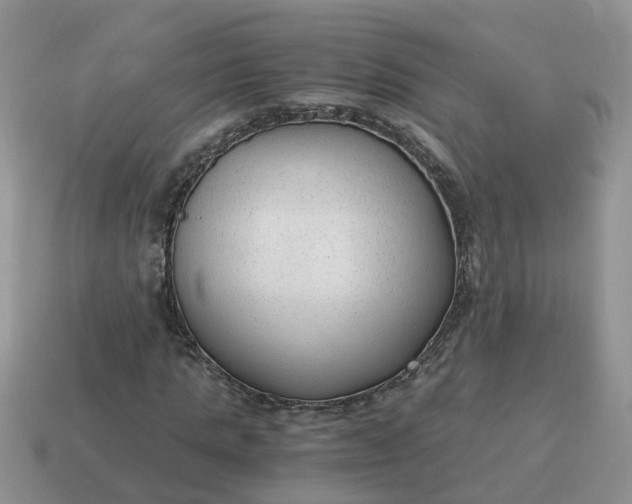X0000115040821200911091402
