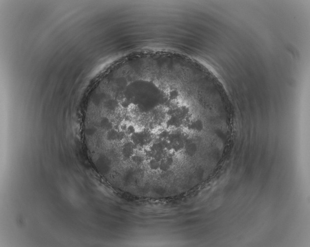 X0000115040823200911091402