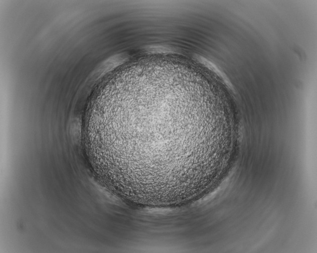 X0000115040825200911091402