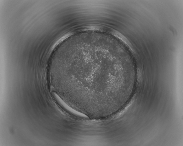 X0000115040826200911091402