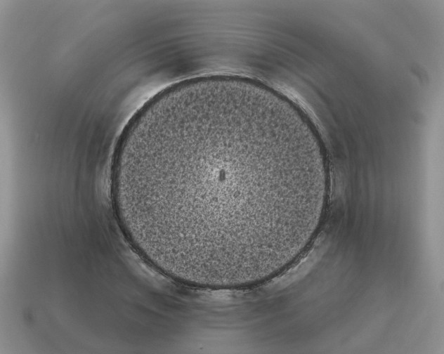 X0000115040828200911091402