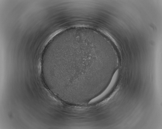 X0000115040829200911091403