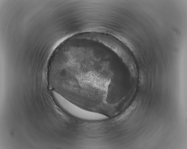 X0000115040830200911091403