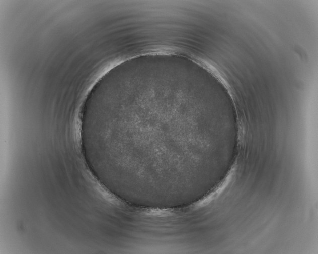 X0000115040835200911091403